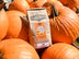 Pumpkin Spice Coffee - 12 oz